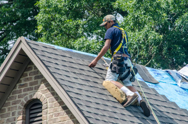 Best Metal Roofing Contractor  in Hoquiam, WA
